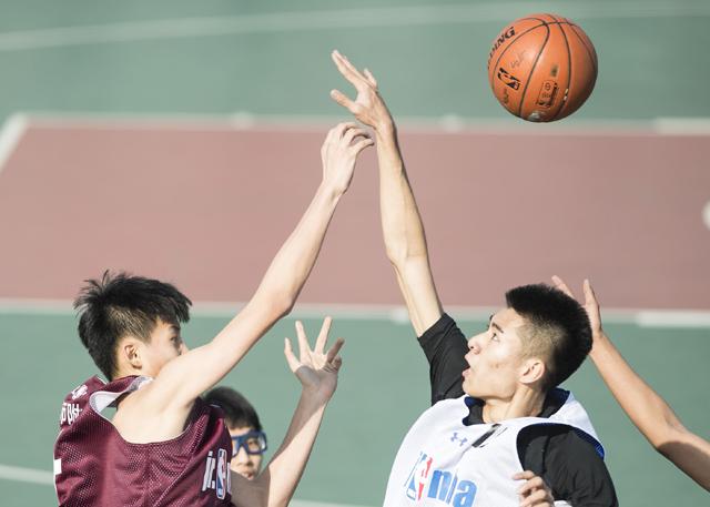 可以看本子的网站
